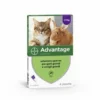 Advantage Spot-on 4 Pipette 0,8 ml Gatti e Conigli Grandi
