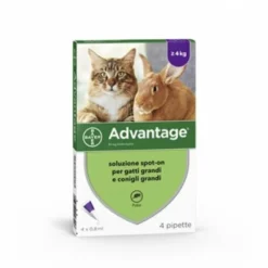 Advantage Spot-on 4 Pipette 0,8 ml Gatti e Conigli Grandi