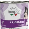 Aequilibriavet Coniglio