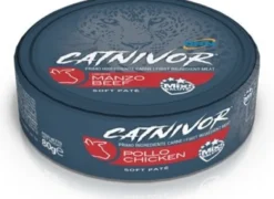 Alimento Umido