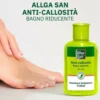 Allga pedil anticallosita'