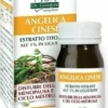 Angelica cin estr tit 60past