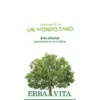 Argilla verde superventilate ui 300 g