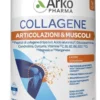 Arkophama Collagene Articolazioni & Muscoli 260 g