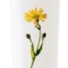 Arnica gel 100ml