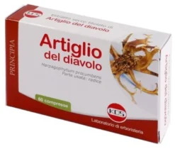 Artiglio del diavolo estratto secco 60 compresse