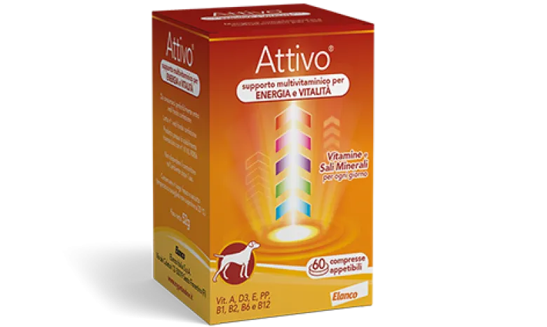 Attivo tabs 60 compresse