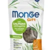 Benessere Del Tuo Gatto