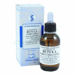Betula verrucosa linfa 60 ml macerato glicerico