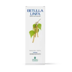 Betulla Linfa