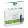 Biocollagenix Esi Integratore di Collagene 10 Drink