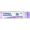 Boiron Crataegus Oxyacantha Granuli 30Ch Tubo 4g