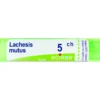 Boiron Lachesis Mutus Granuli 05Ch Tubo 4g