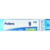 Boiron Pollens Granuli 09Ch Tubo 4g