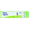 Boiron Ribes Nigrum Granuli 05Ch Tubo 4g