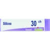 Boiron Silicea Globuli 30Ch Dose 1g