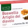 Boswellia artiglio diavolo vitamine b2 b6 b9 60 capsule
