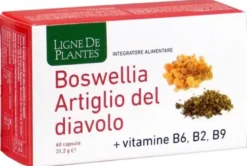 Boswellia artiglio diavolo vitamine b2 b6 b9 60 capsule
