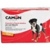 CAMON
