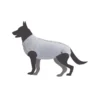 Camon tutina post-operatoria per cani taglia 55