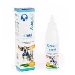 Cani e gatti