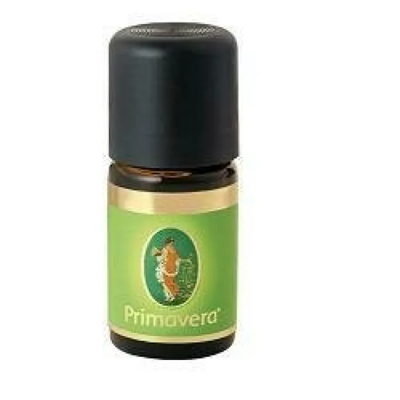 Cannella corteccia 60% olio essenziale bio 5 ml
