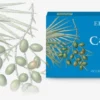 Capelli uomo 24 compresse
