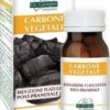 Carbone vegetale 100 pastiglie