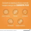 Carnidyn Plus Integratore Energetico Con Carnitina 20 Bustine
