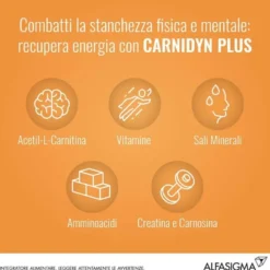 Carnidyn Plus Integratore Energetico Con Carnitina 20 Bustine