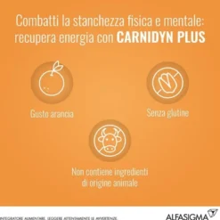 Carnidyn Plus Integratore Energetico Con Carnitina 20 Bustine