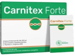 Carnitex Forte 14 Bustine