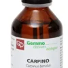 Carpino macerato glicerinato bio 100 ml