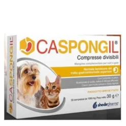 Caspongil 30 compresse divisibili