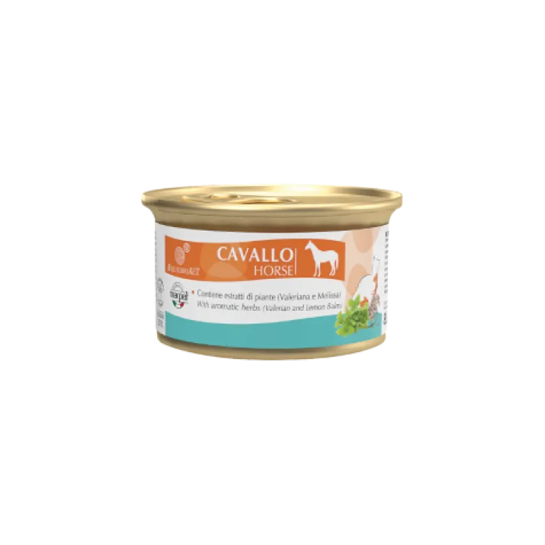 Cat Cavallo