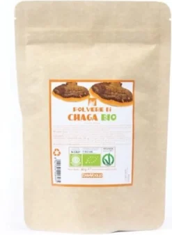 Chaga polvere bio 60 g