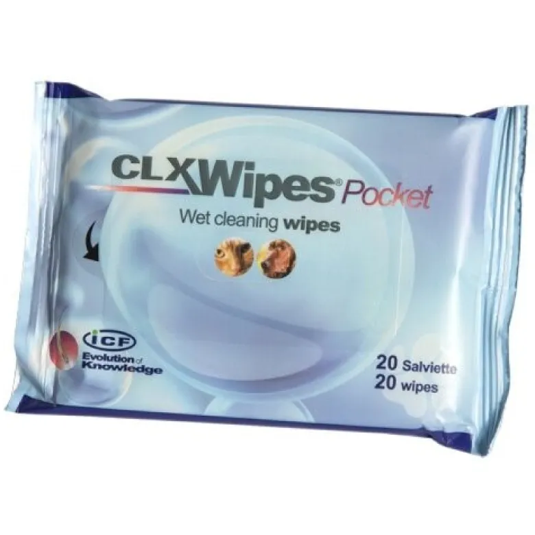 Clx wipes pocket 20 salviette