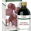 Cola estratto integrale 200 ml