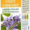 Coleus forskohlii estratto titolato 60 pastiglie
