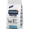 Dieta Veterinaria Per Problemi Gastrointestinali