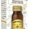 Diuvis t 100past