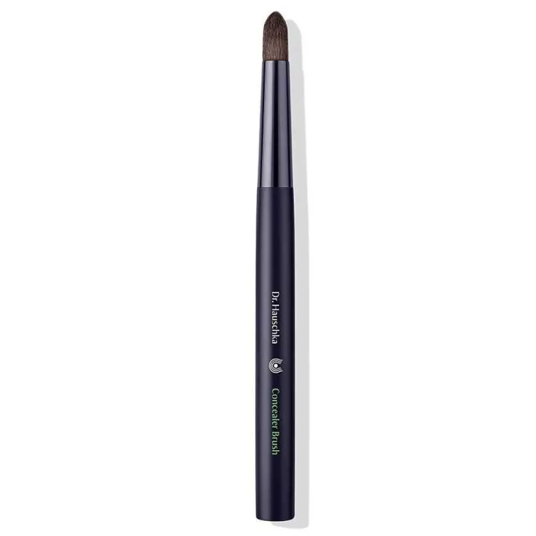 Dr hauschka concealer brush