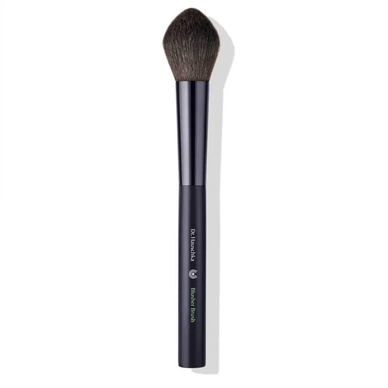 Dr hauschka mal blush brush