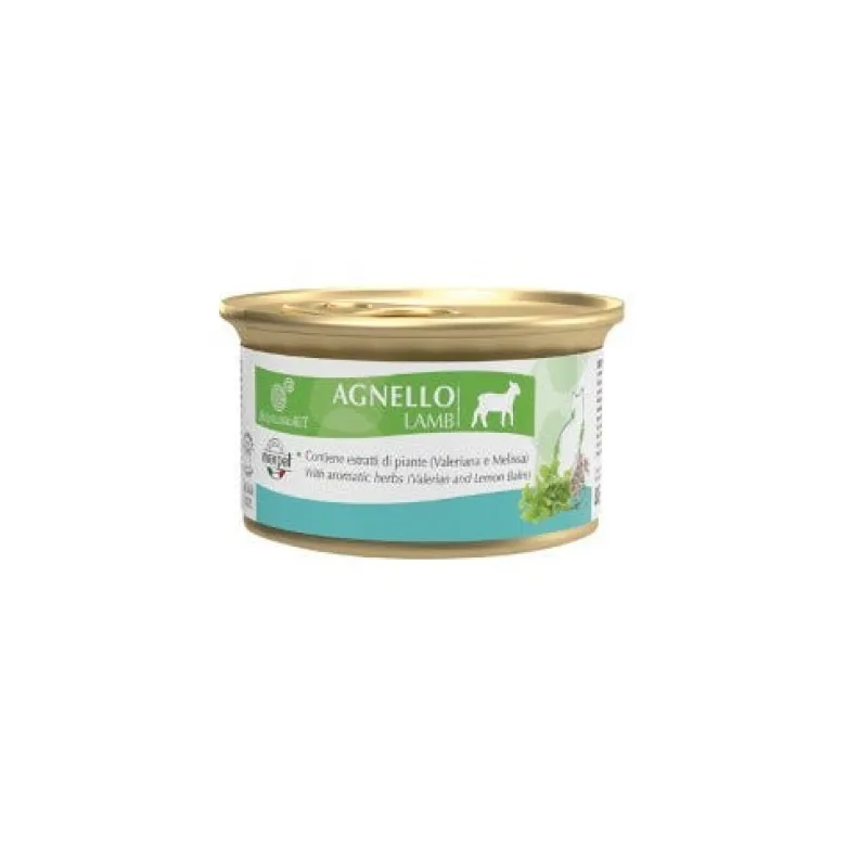 Equilibria Cat Agnello