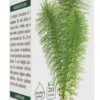 Equiseto estratto integrale 200 ml