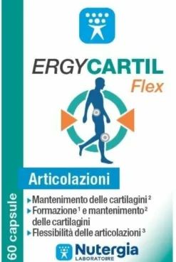 Ergycartil flex 60 capsule