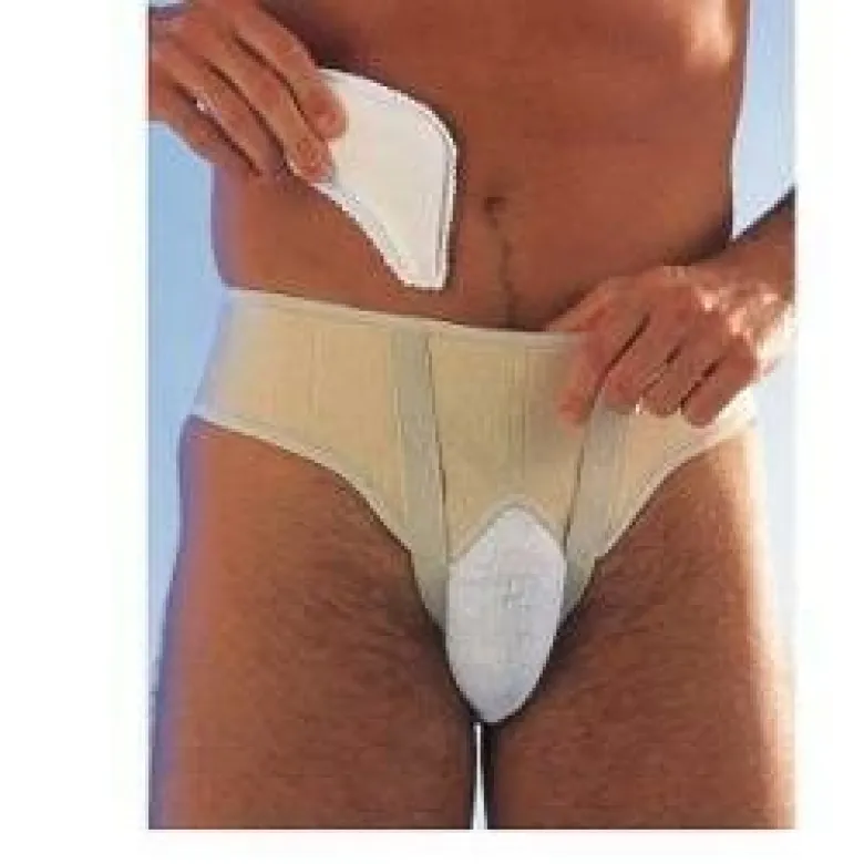Ernius reg naturale 8