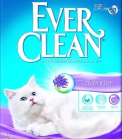 Ever Clean