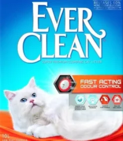 Ever Clean
