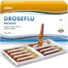 Fiale Aerosol Droseflu 10 Fiale